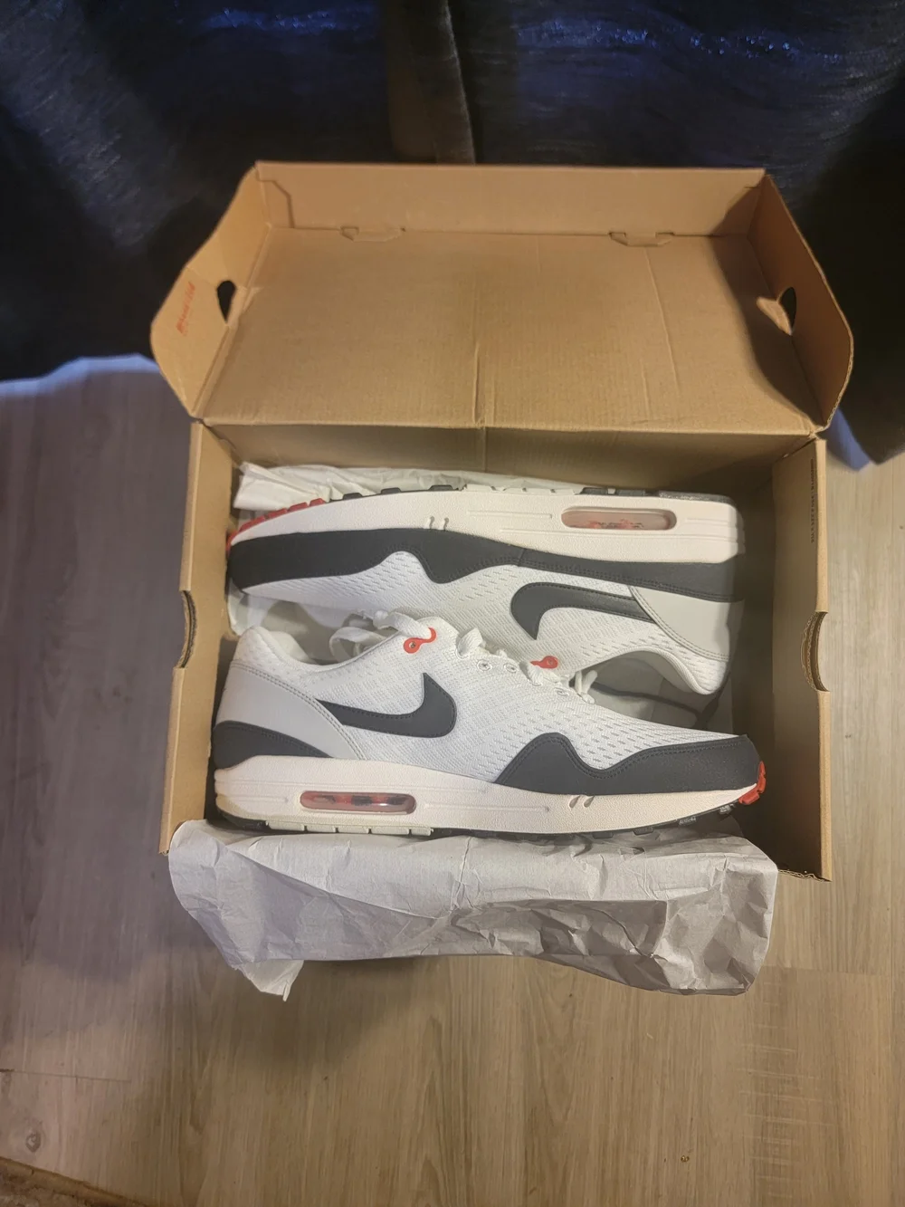 Nike Air Max 1 EM